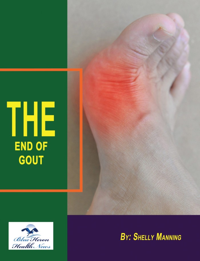 The End Of GOUT Review – I bet you havent seen this approach yet