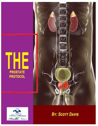 The Prostate Protocol review-How does it work?